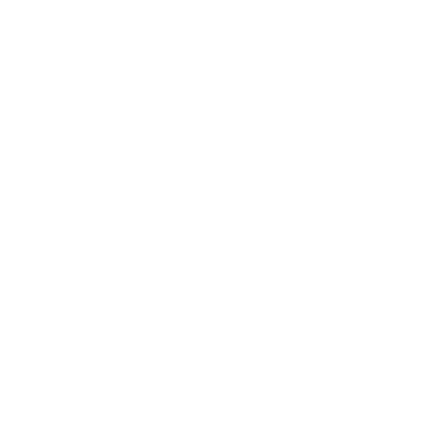 troop 6 logo